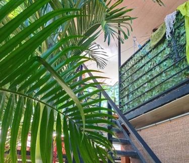 Pacuare Reserve Apartment | Arrecife