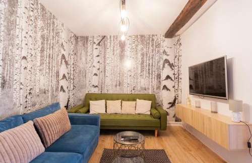Villefranche-sur-Saone Apartment | Art de Recevoir - Chic & Calme - Climatisation - Rue Nationale