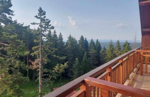 Samokov Apartment | Art Studio Borovets Semiramida