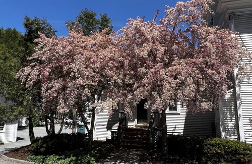 Stowe Area Condo | Artist Studio