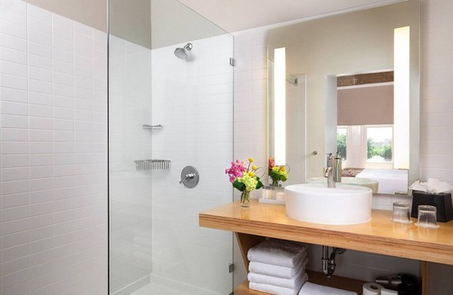 Downtown Dallas Hotel | Artistic Atmosphere, Canvas Suite, Canvas Hotel Dallas, Rooftop Pool