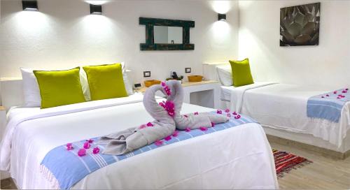 Noord House | Aruba Lagunita