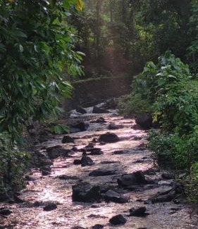 Devikolam Villa | Aruvi Homestay idukki