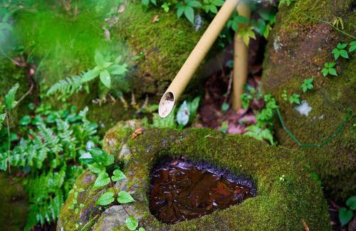 Fujinomiya House | Asagiri hidden inn FUJI-朝霧 富士の隠れ宿-