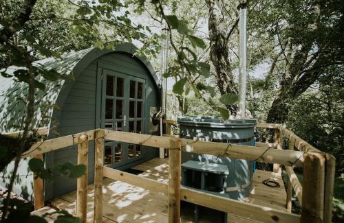 Llanelltyd Apartment | Ash Cabin with Hot Tub