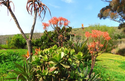 Malagas House | Ashanti House - Living The Breede
