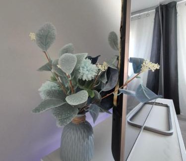Wolverhampton Apartment | Ashers place