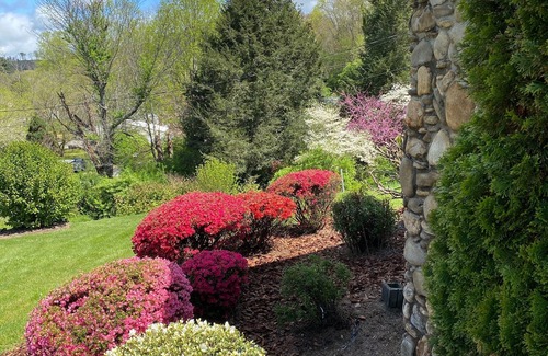 Woodfin Apartment | Asheville fresh mountain air