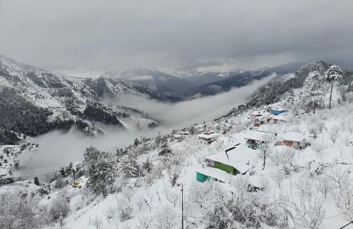 Theog House | Ashirwad Homestay near Kufri