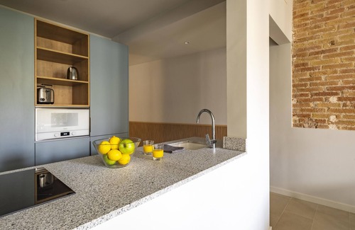 L'Antiga Esquerra de l'Eixample Apartment | Aspasios Garden Apartments