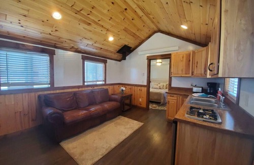 Victor Cabin | Aspen Adventure Victor