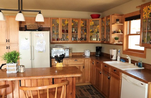 Lake George House | Aspen Grove Mtn Cabin: 4acres, Eleven Mile Village,30min to town, No CLtion Fees