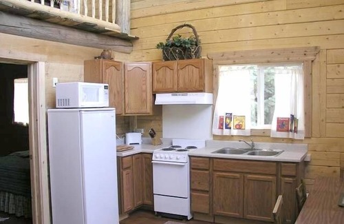 Lake City House | Aspen Lodge Blue Spruce Vacation Rental