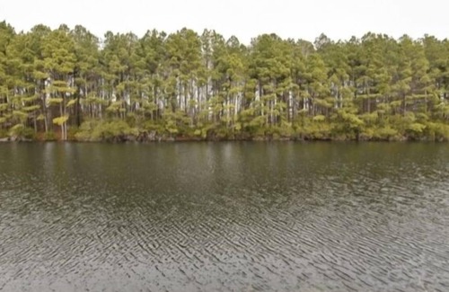Assateague Pointe House | Assateague Point 2 Bedrooms outdoor pool