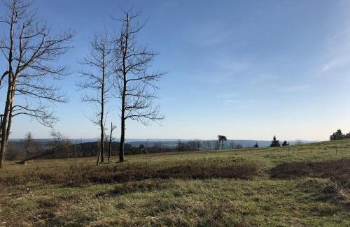 Winterberg Hotel | Astenturm Hotel