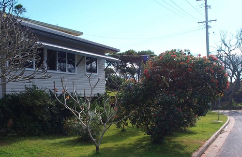 Scotts Head House | At The Beach - Relaxing Stay with Ocean Vibes