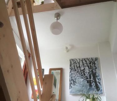 Saalfelden am Steinernen Meer Apartment | Atelierwohnung Jirana