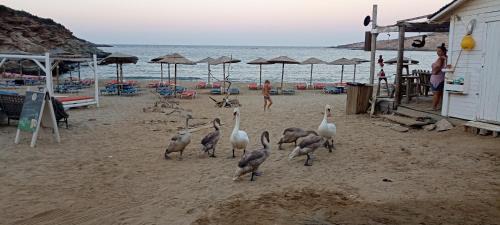 Andros House | Ateni Beachfront