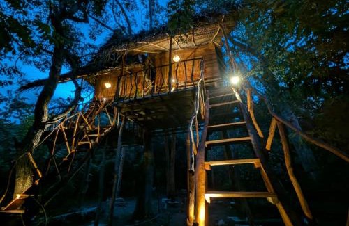Habarana Cabin | Atha Tree House