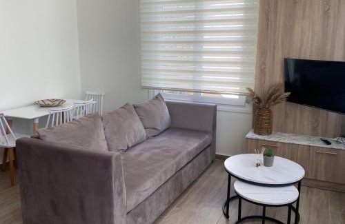 Ofrinion Apartment | ATHINA'S Apartment