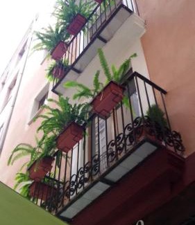 El Pilar Apartment | Atico En El Centro