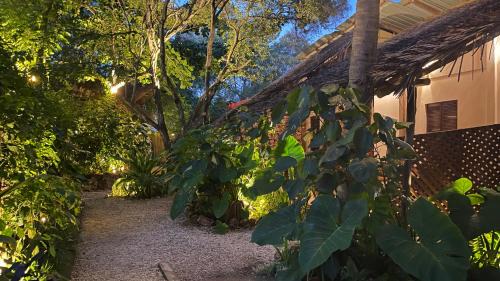 Nungwi Hotel | Atii Garden Bungalows
