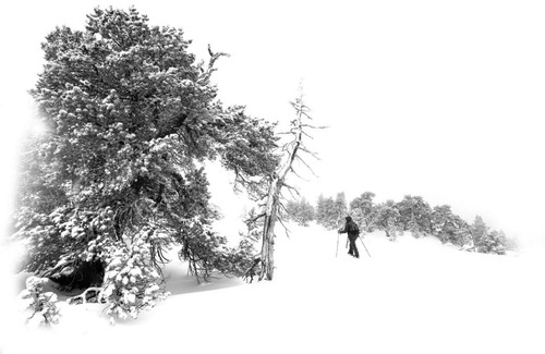 Arette Other | atipic lodge