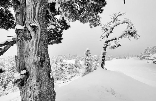 Arette Other | atipic lodge