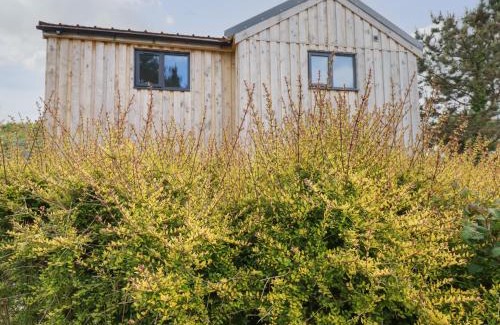 Bude Apartment | Atlantic Apartment