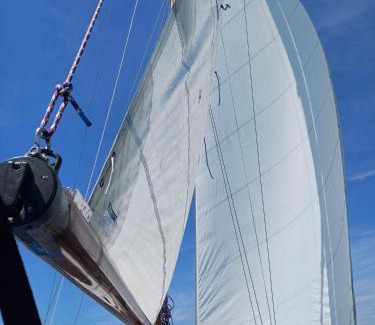Le Grau-Du-Roi Boat Rental | Atypique