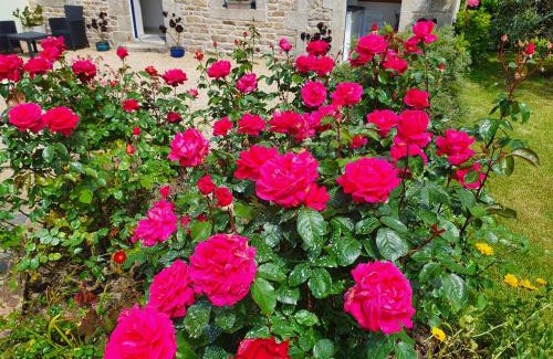 Cleder House | Au Jardin de Creachavel