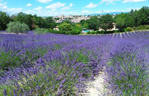 Valensole House | Au pays de la lavande.
