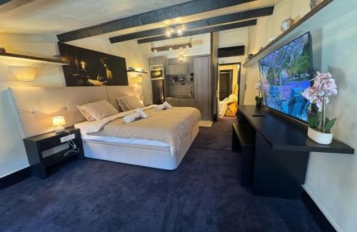 Salon-de-Provence Hotel | Auberge - Nostradamus De Provence