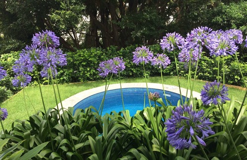 Auchenflower Apartment | Auchenflower, Tallywood Apt 3 - Pet Friendly/Family Friendly/Outdoor Area/Pool