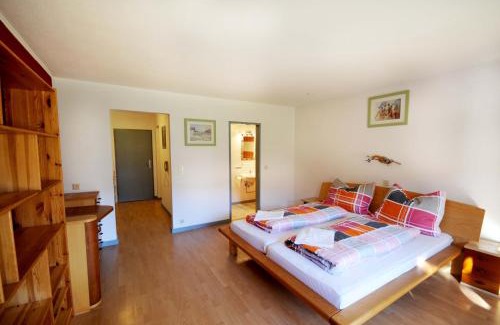 Niederau Apartment | Auhof