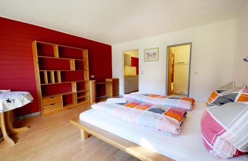 Niederau Apartment | Auhof