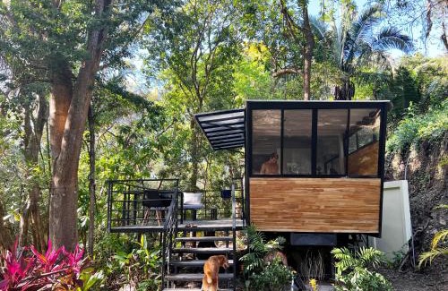 Nosara Apartment | Aurora Bus Home (Yellow)