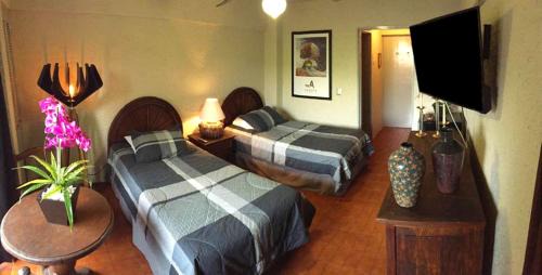 Zona Expo Hotel | Aurora Suites