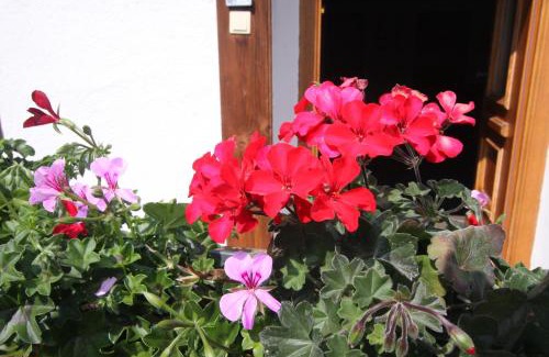 Berwang Apartment | Ausfernerhof