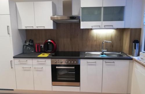 Bad Aussee Apartment | Ausseeerland