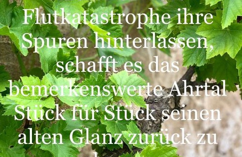 Ahrweiler Apartment | Auszeit im Ahrtal