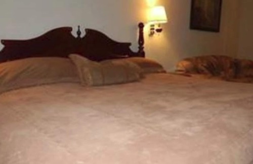 Piedras Negras Hotel | Autel Rio Inn Luxury Inns