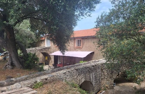 Novella House | Authentic 18th-century mill with 120 m² pool in 50-hectare olive grove.