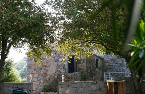 Vetricella Villa | Authentic Corsica - Swimming pool - Granite house - 3,000 m2 Land