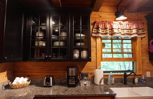 Lake Sequoyah Cabin | Authentic Highlands Log Cabin with Dock, Canoe + Fire Pit