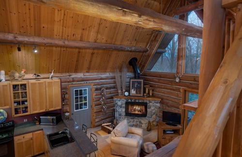 Covert House | Authentic Log Cabin Gated Community w/Access Lake Michigan & South Haven