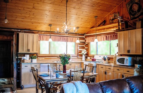 Traverse City Cabin | Authentic Log Cabin on Beautiful Silver Lake. Pet Friendly!