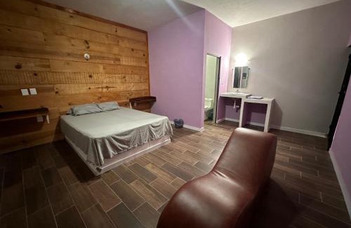 Manlio Fabio Altamirano Hotel | Autohotel el Búho