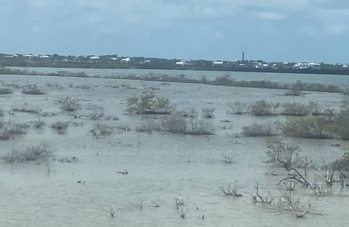 Breezeswept Beach Estates House | Available for June and July 2023