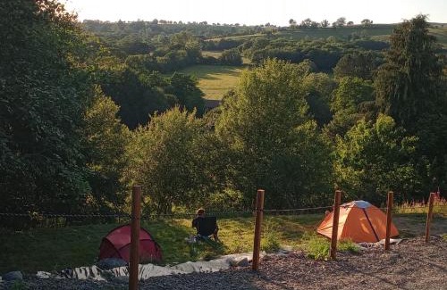 Llandovery House | Avandale Hut